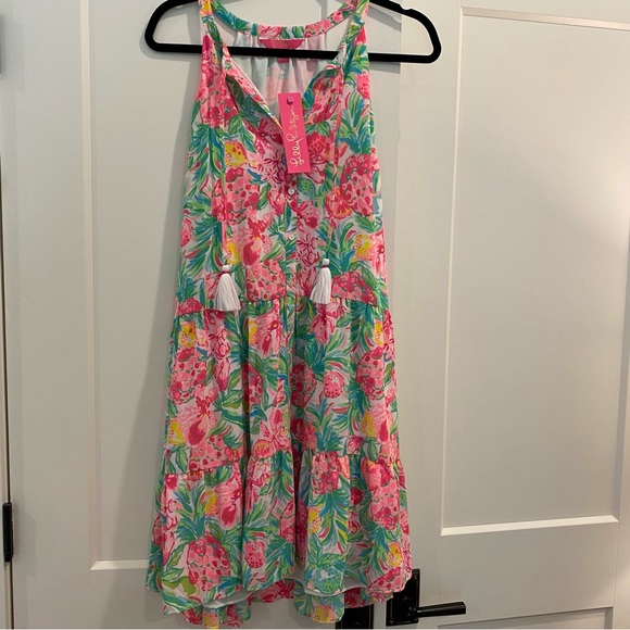 Lilly Pulitzer Dresses & Skirts - NWT Lily Pulitzer dress size large